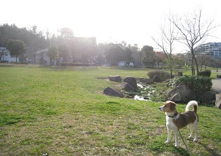 c0084117_1842439.jpg