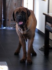e0192217_10122231.jpg