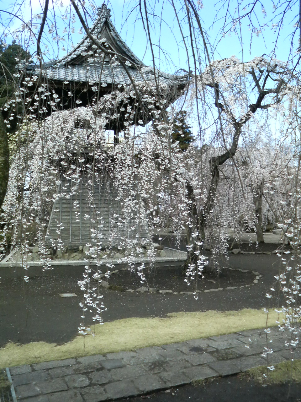 a0156526_10151912.jpg