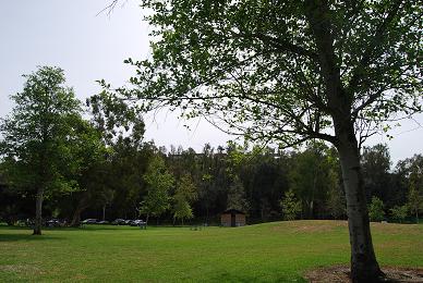 c0159828_6251562.jpg