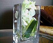 c0051529_22132995.jpg