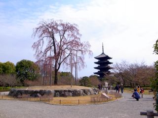 f0149731_23274047.jpg