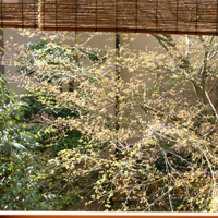 d0033734_154457.jpg