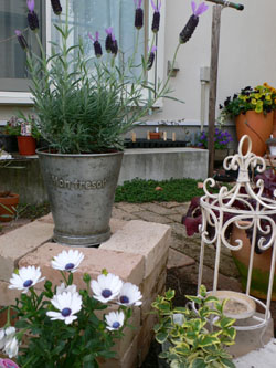 f0061334_21231843.jpg