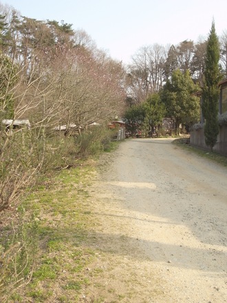 e0147641_0114247.jpg