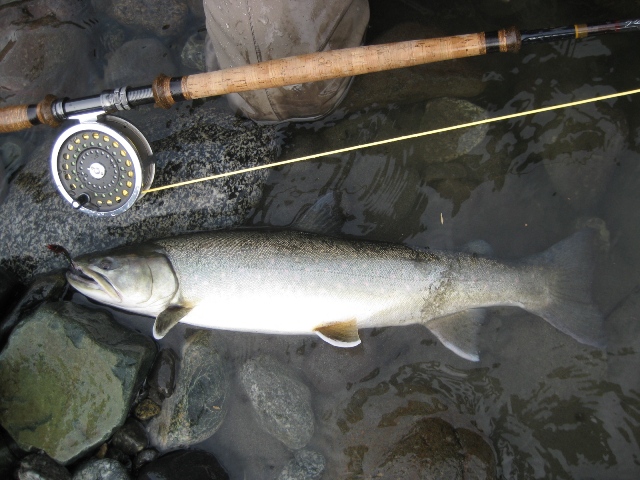 f0084544_6542189.jpg