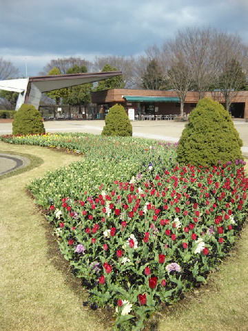 e0069647_22254333.jpg