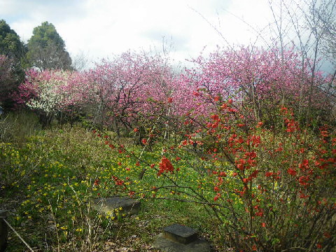 e0069647_22255443.jpg