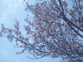 e0069647_222669.jpg