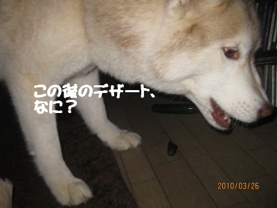 e0121548_2159928.jpg