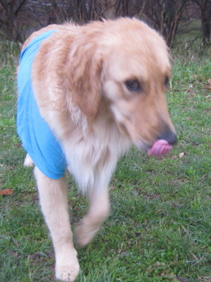 e0121548_22582790.jpg