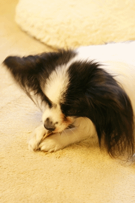 d0013149_0372642.gif