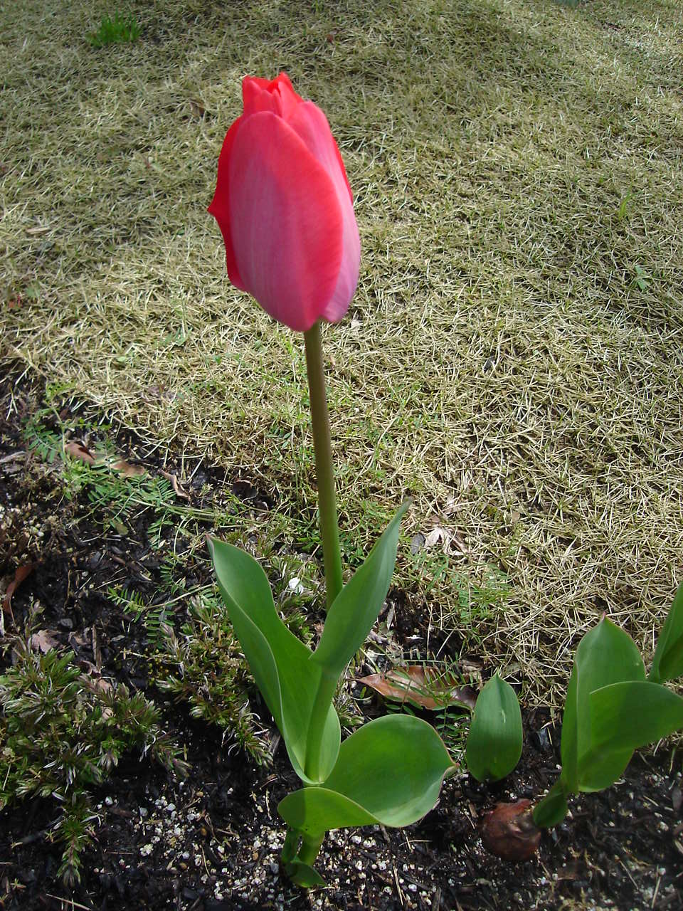b0164959_12241385.jpg