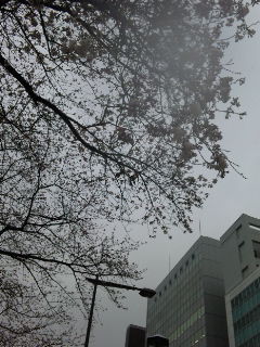 f0201360_12485999.jpg