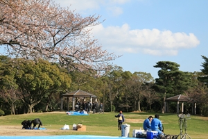 d0054461_17592437.jpg