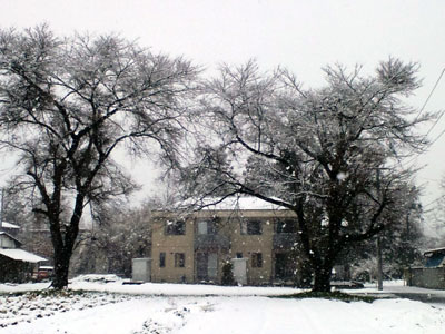 c0050264_12331092.jpg