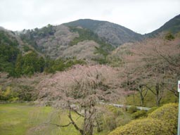 a0055866_234080.jpg