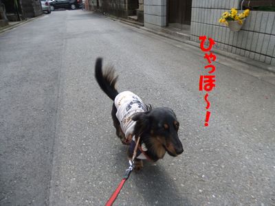 c0151866_19445867.jpg