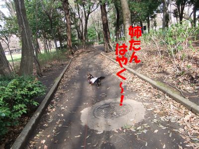 c0151866_2063258.jpg