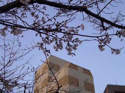 f0180166_23163656.jpg