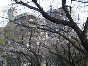 f0180166_2318960.jpg