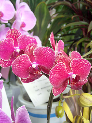 e0097770_22565536.jpg
