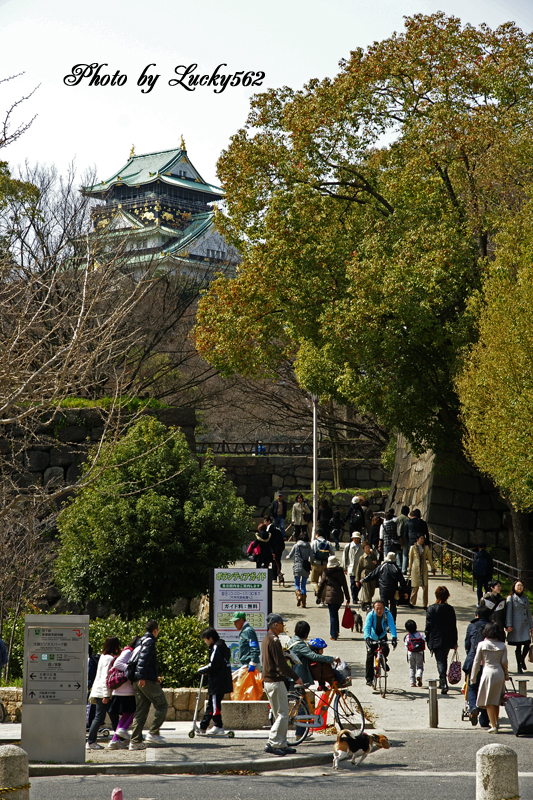 e0002371_1017348.jpg