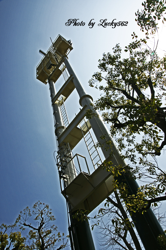 e0002371_10201664.jpg