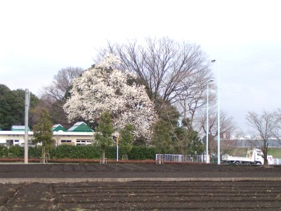 c0112172_23445459.jpg