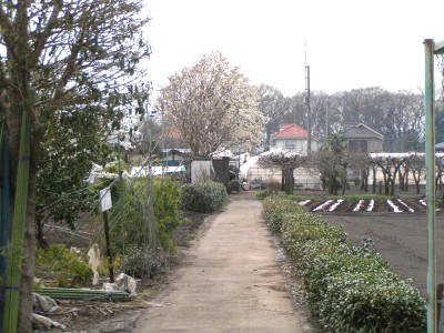 c0112172_23451937.jpg