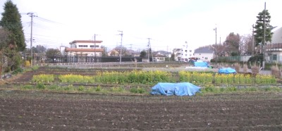 c0112172_23452780.jpg