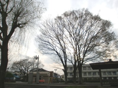 c0112172_23454958.jpg