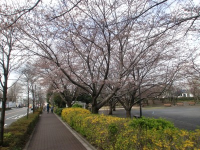 c0112172_23455917.jpg