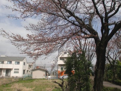 c0112172_23461391.jpg