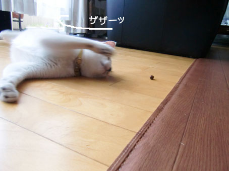 c0226874_14531463.jpg