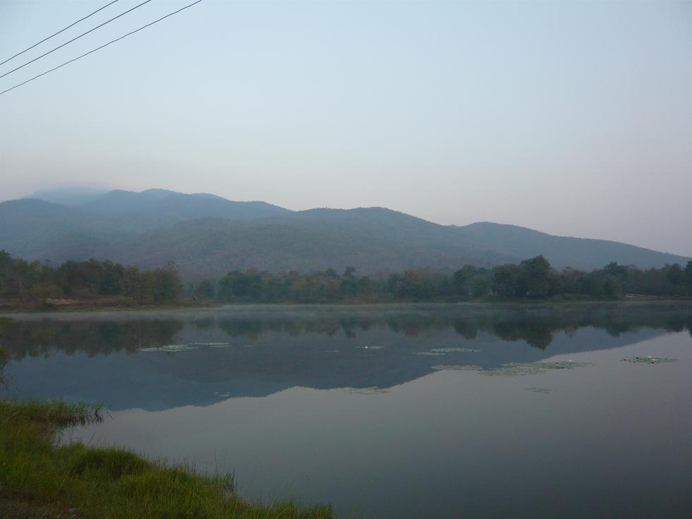 f0178278_7362015.jpg