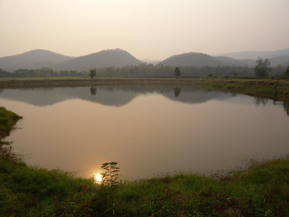 f0178278_7365767.jpg