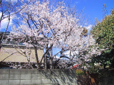b0073782_18281148.jpg
