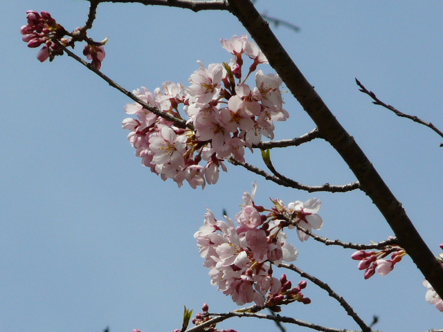 e0145782_17385679.jpg