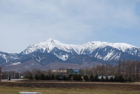 e0150783_7352598.jpg