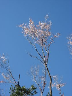 f0053885_21471181.jpg