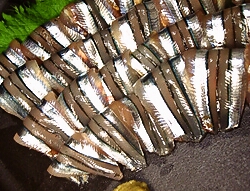 b0068687_20251792.jpg