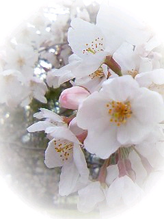 c0029190_19363355.jpg