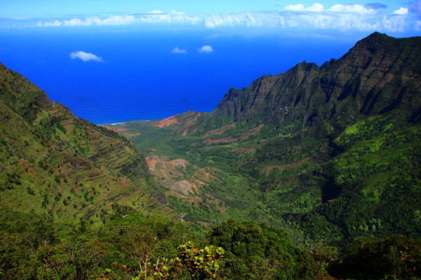 e0122193_1620033.jpg