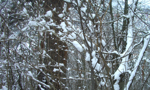 b0099994_1221132.jpg