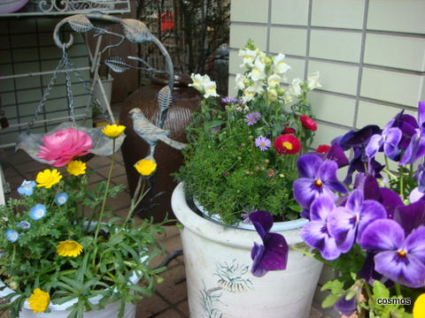 f0137694_243226.jpg
