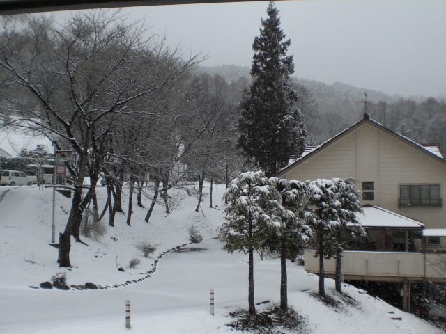c0099395_10363254.jpg