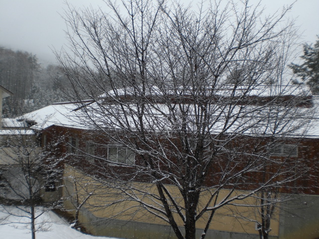 c0099395_10364493.jpg