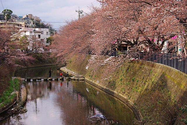 c0125596_22113129.jpg