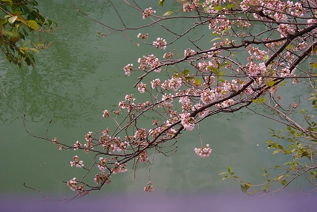 c0125596_229256.jpg